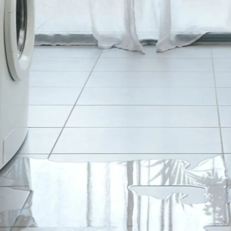 Appliance Leak Cleanup in Maryvale, AZ